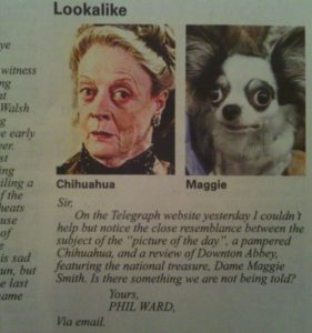 Private Eye Lookalikes: 4* Output?